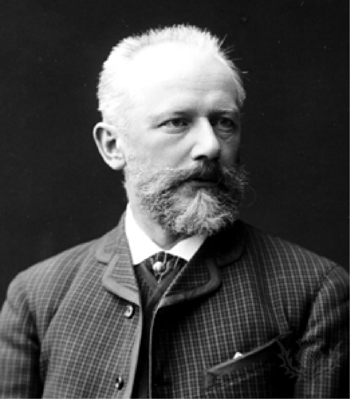 Pyotr Tchaikovsky Pyotr Tchaikovsky