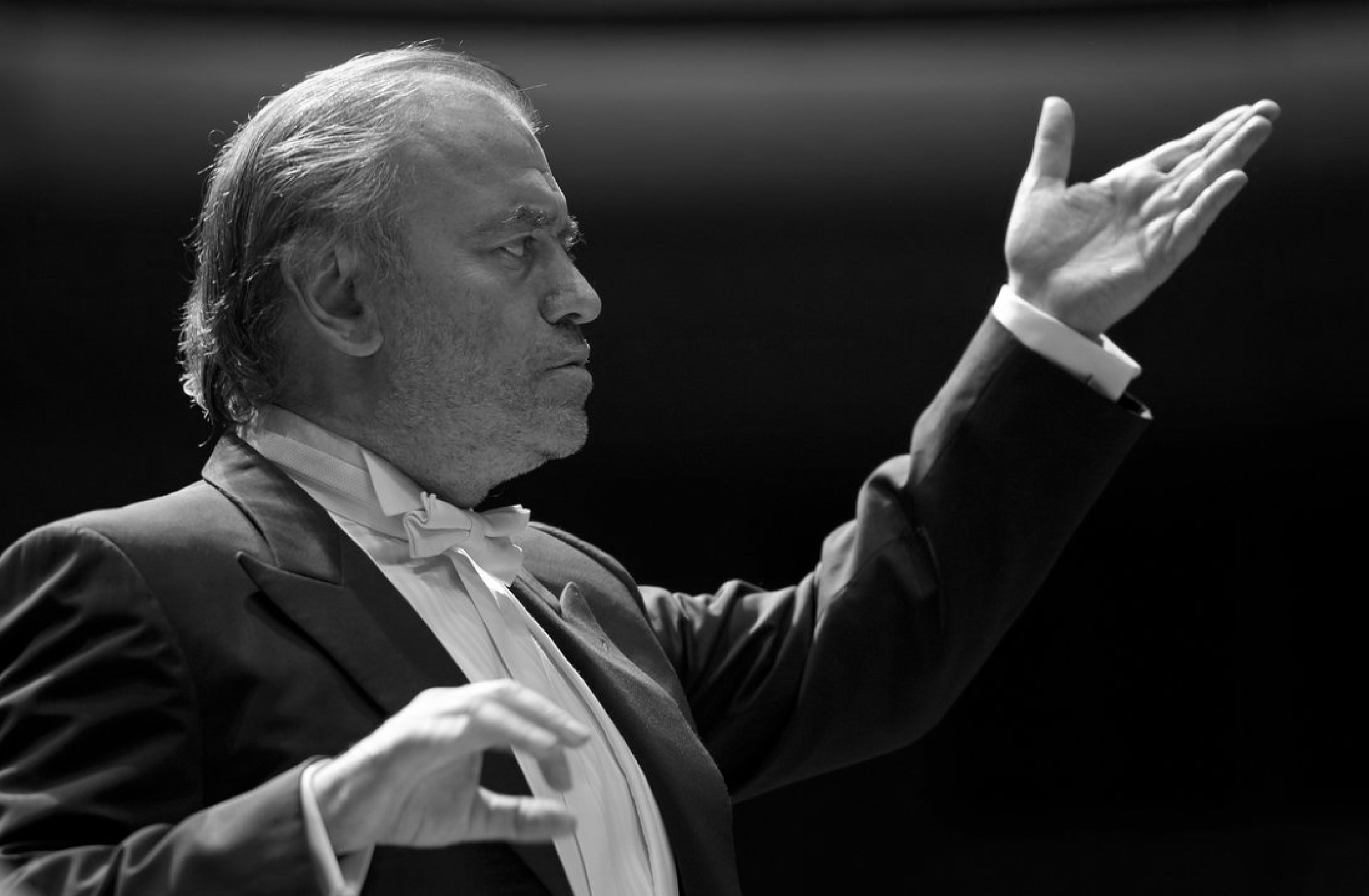 Valery Gergiev image